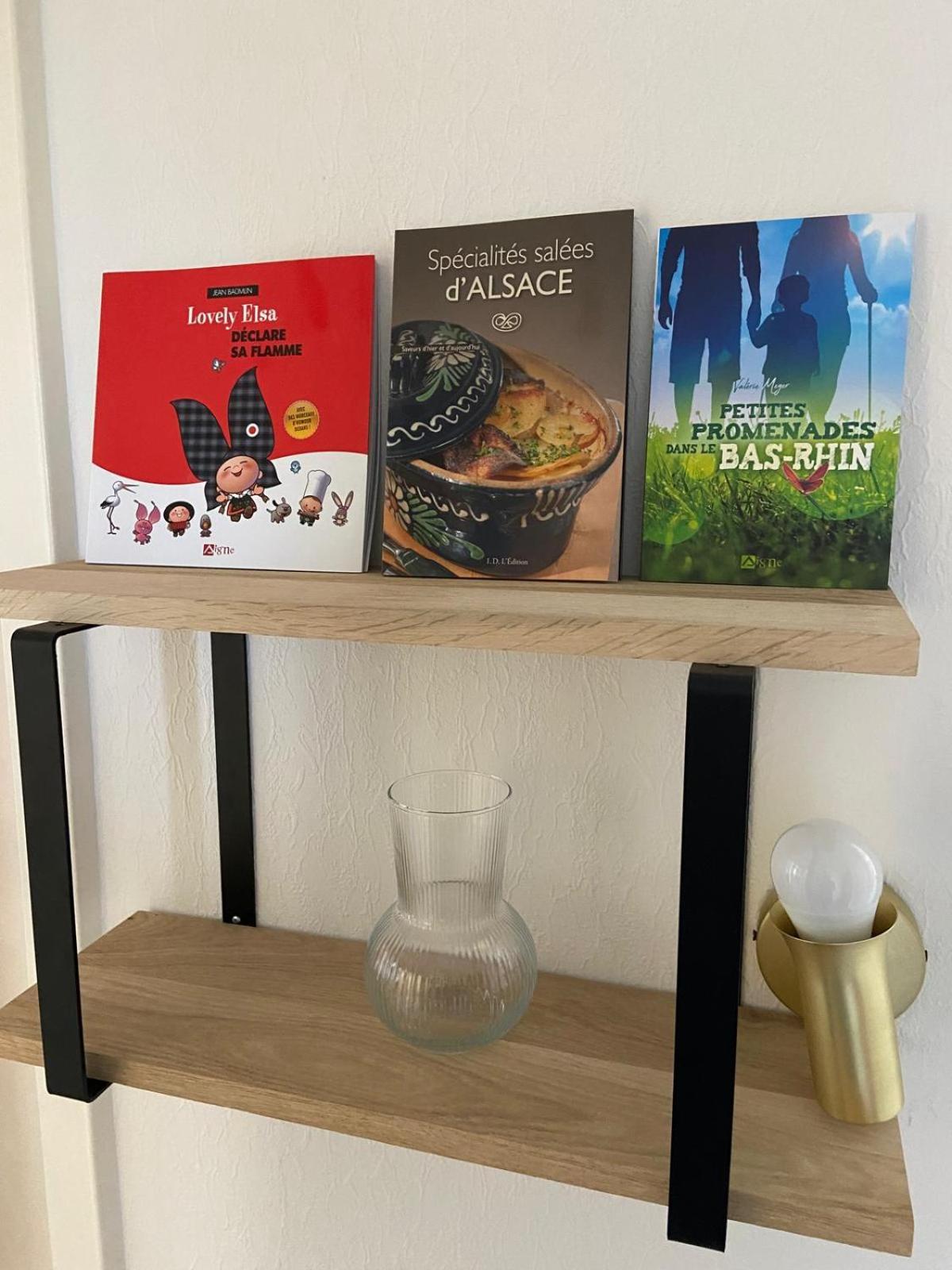 Joli Appartement Proche Gare Molsheim Kültér fotó